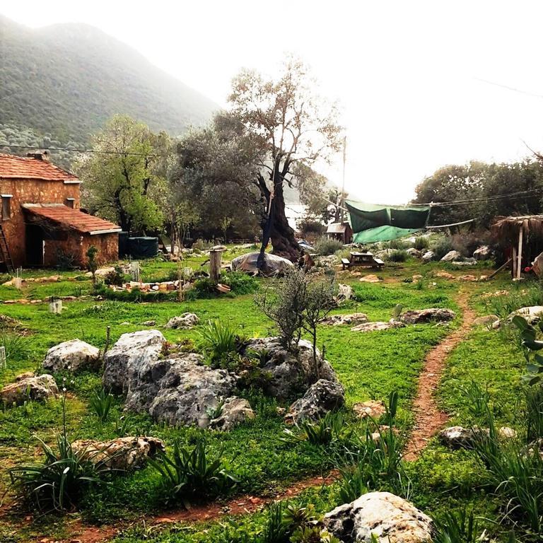 Hiker'S Inn-Purple House Kaleucagız Esterno foto